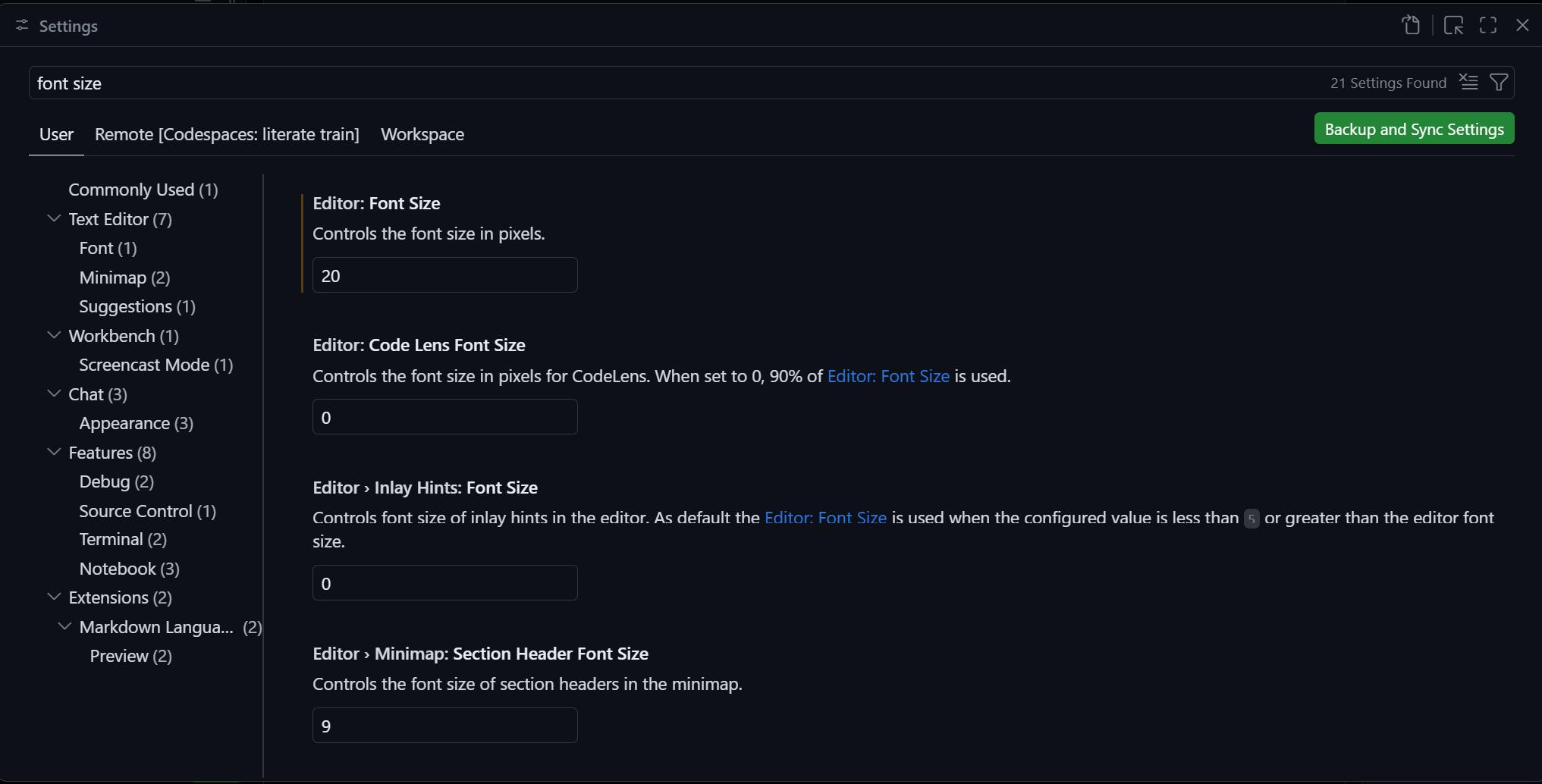 GitHub Codespace Settings Font Size